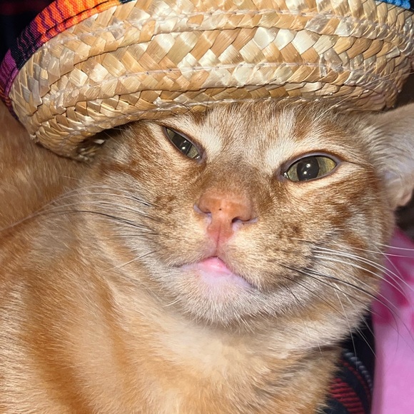 sombrero straw hat for dolls *BRAND NEW - Picture 5 of 5